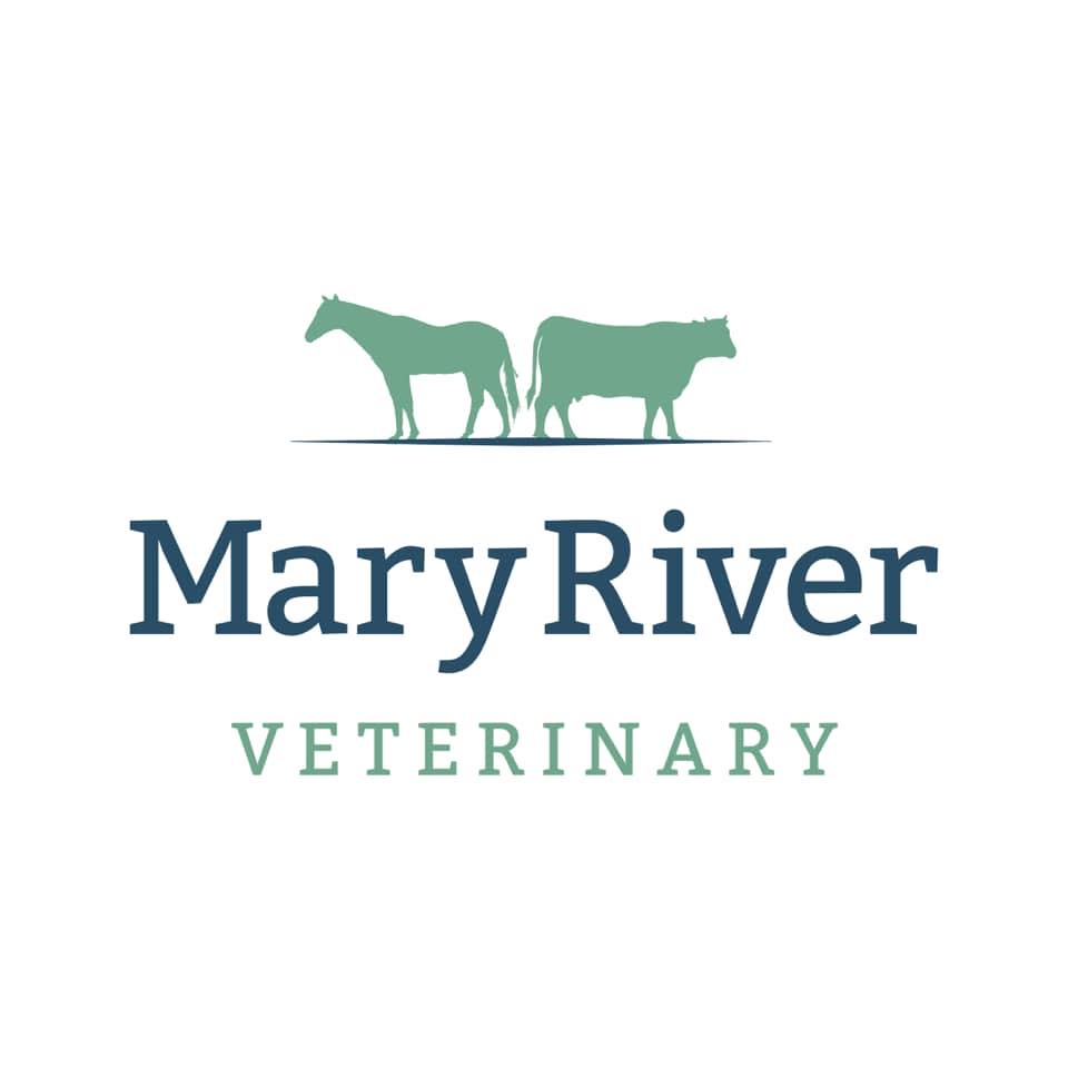 275056752_122150913719410_4898702797294317101_n